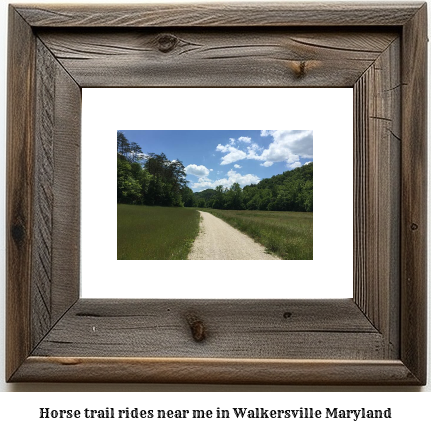 horse trail rides near me in Walkersville, Maryland